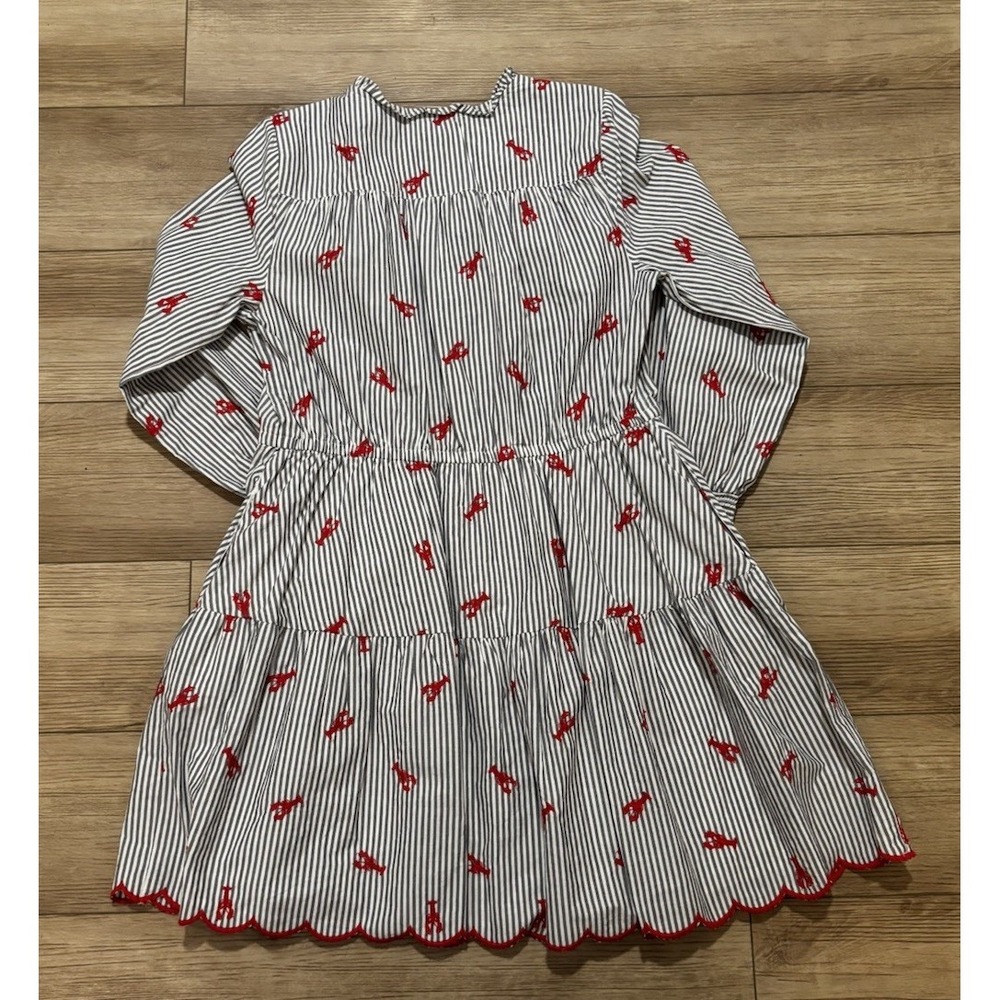 Lands' End Long Sleeve Lobster Embroidery Mini Popover Dress Medium 10/12 - Picture 9 of 11